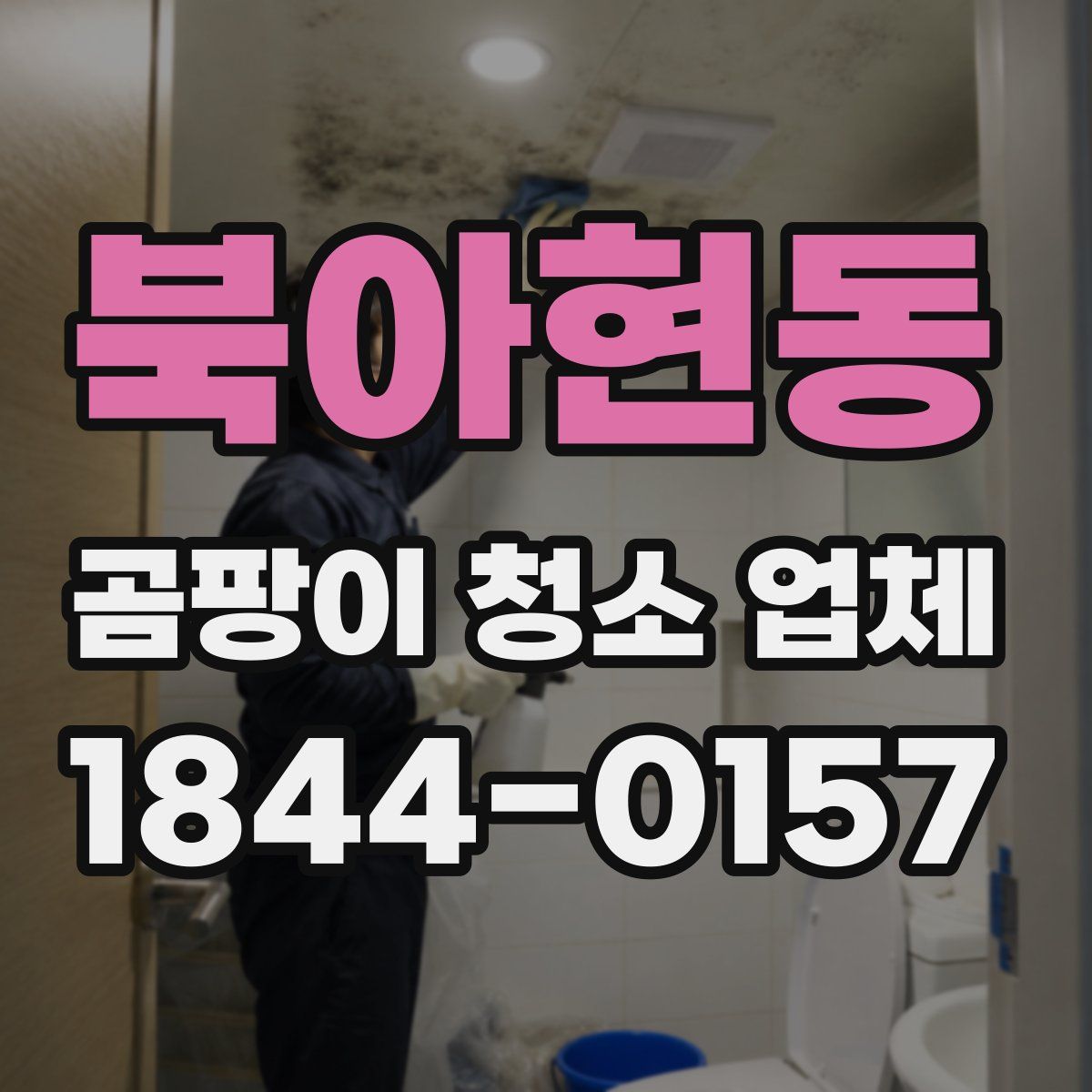북아현동 곰팡이 청소 업체