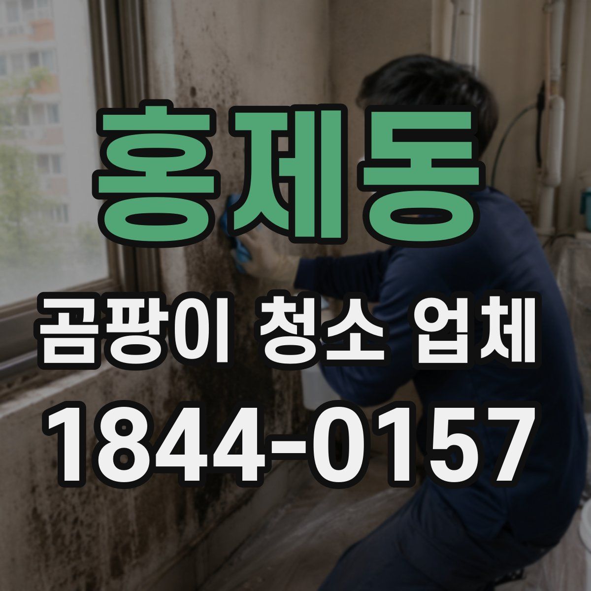 홍제동 곰팡이 청소 업체