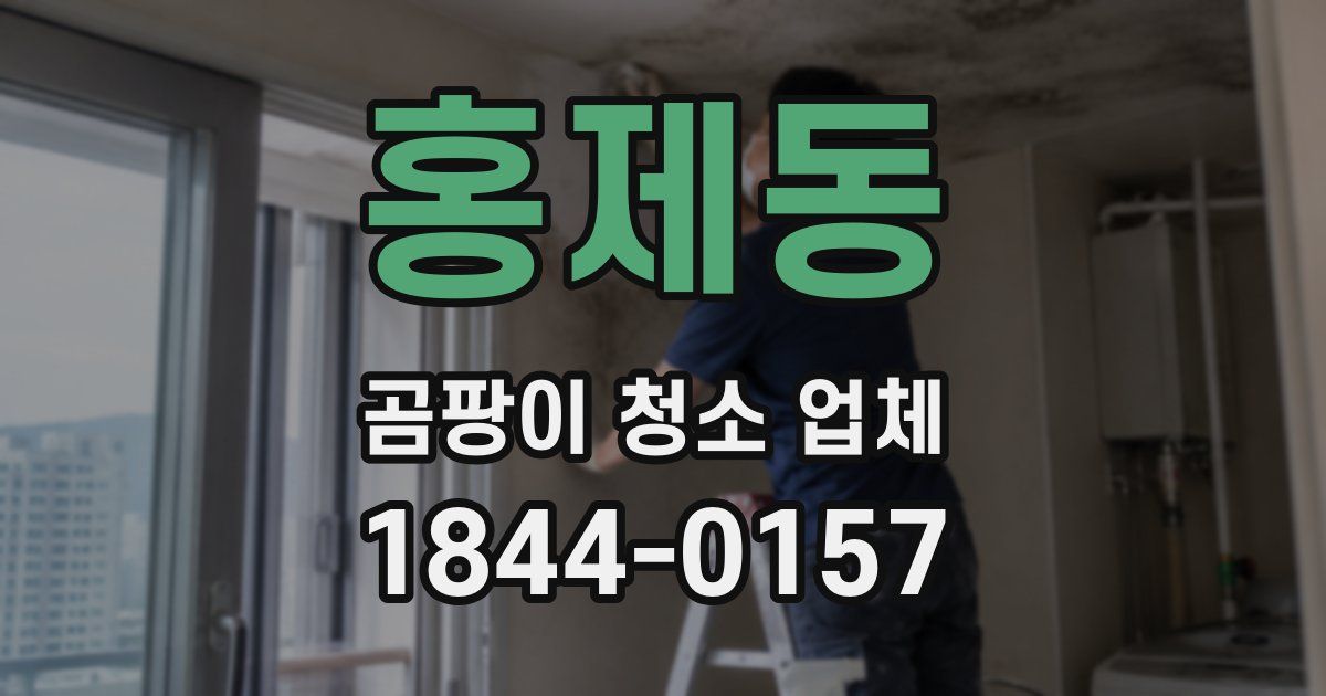 홍제동 곰팡이 청소 업체