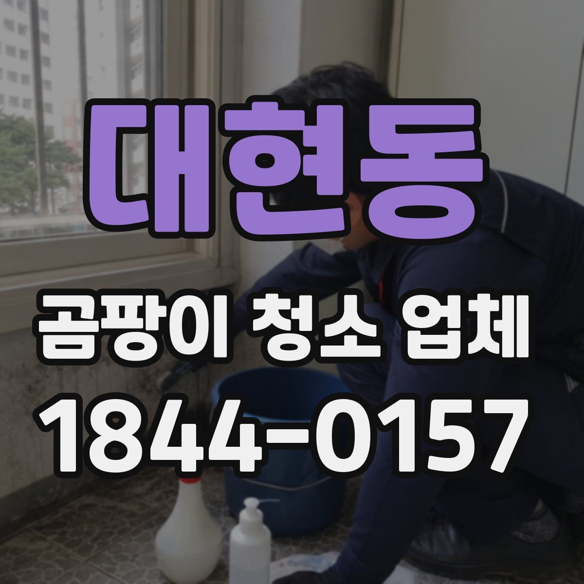 대현동 곰팡이 청소 업체