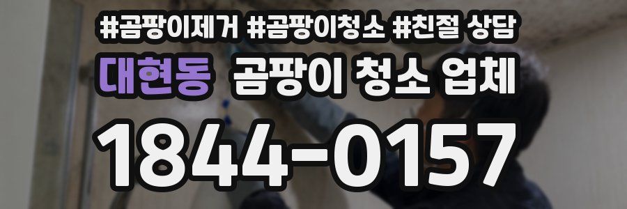 대현동 곰팡이 청소 업체