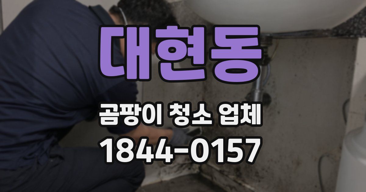 대현동 곰팡이 청소 업체