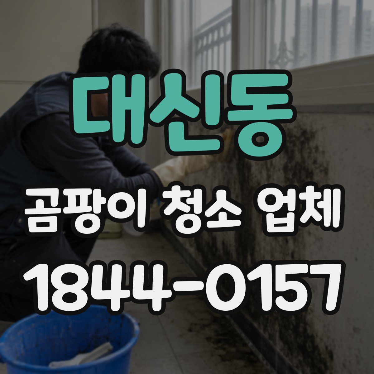 대신동 곰팡이 청소 업체