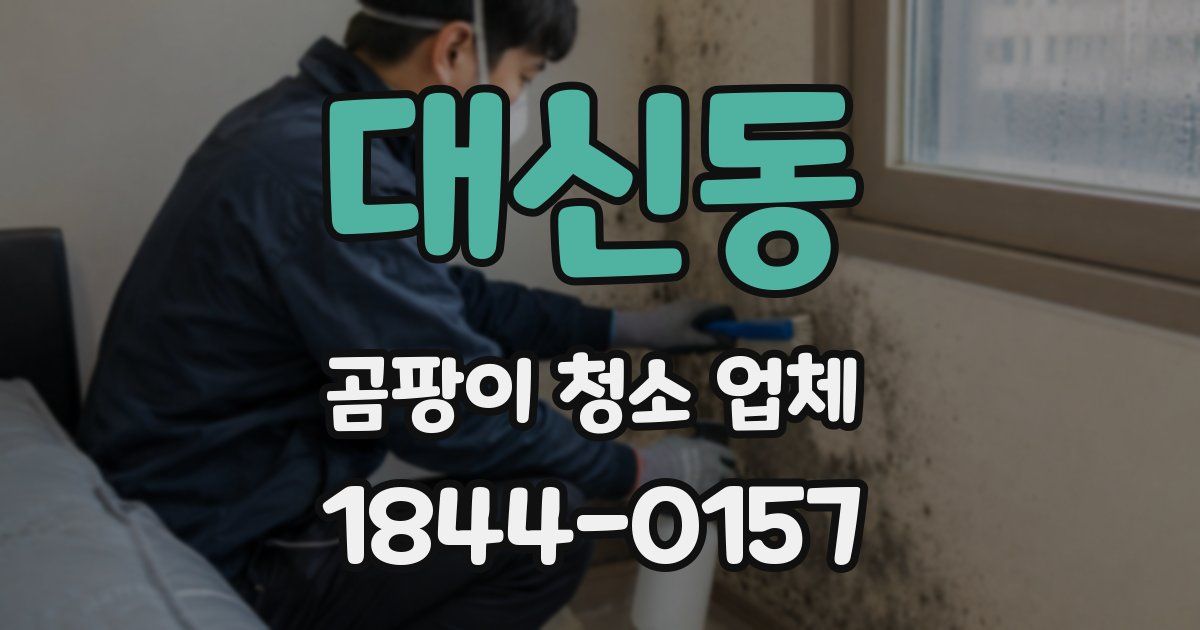 대신동 곰팡이 청소 업체