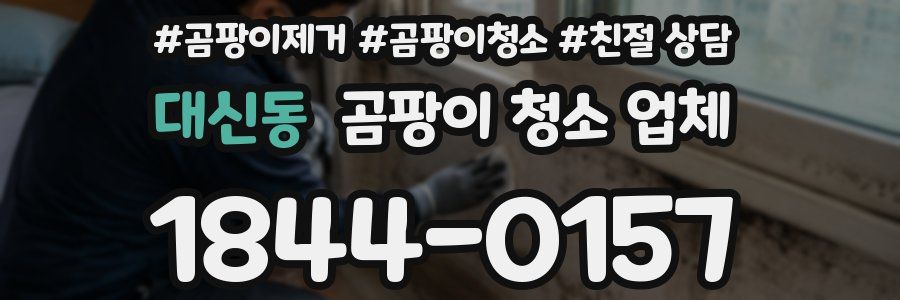 대신동 곰팡이 청소 업체