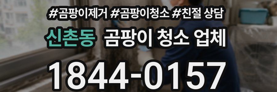신촌동 곰팡이 청소 업체
