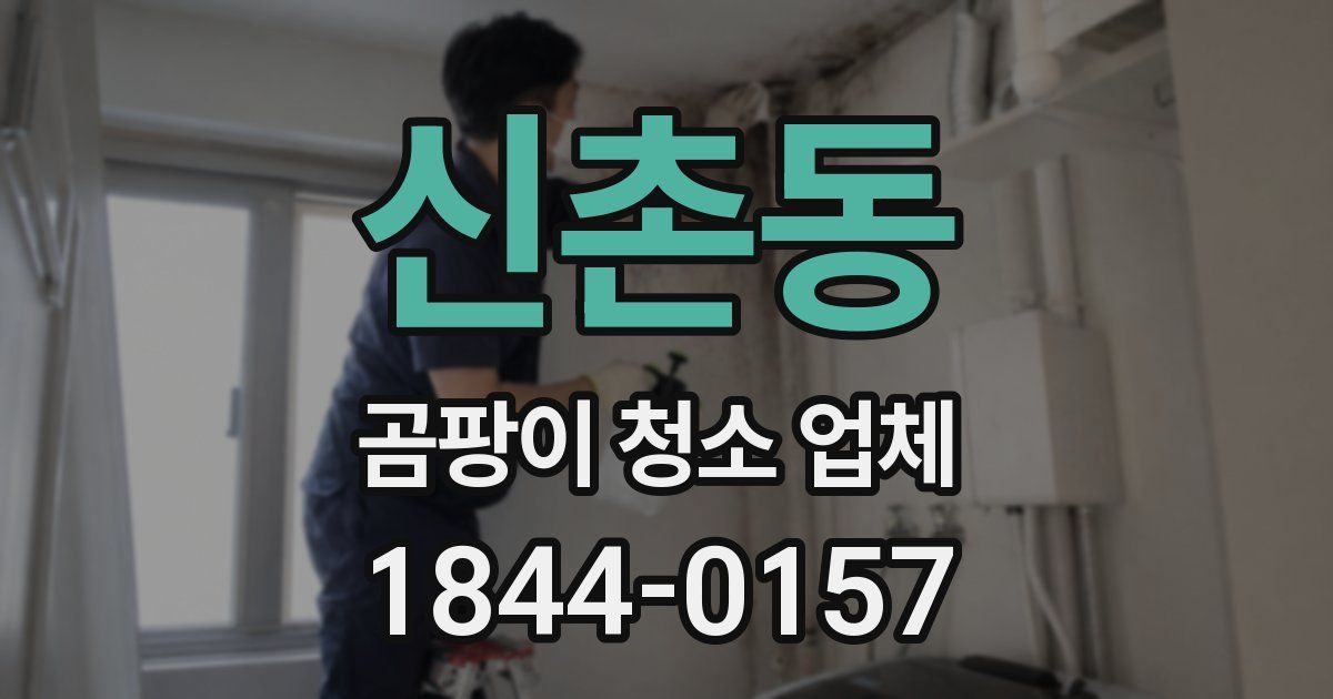 신촌동 곰팡이 청소 업체