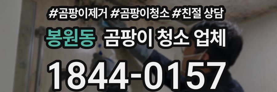 봉원동 곰팡이 청소 업체