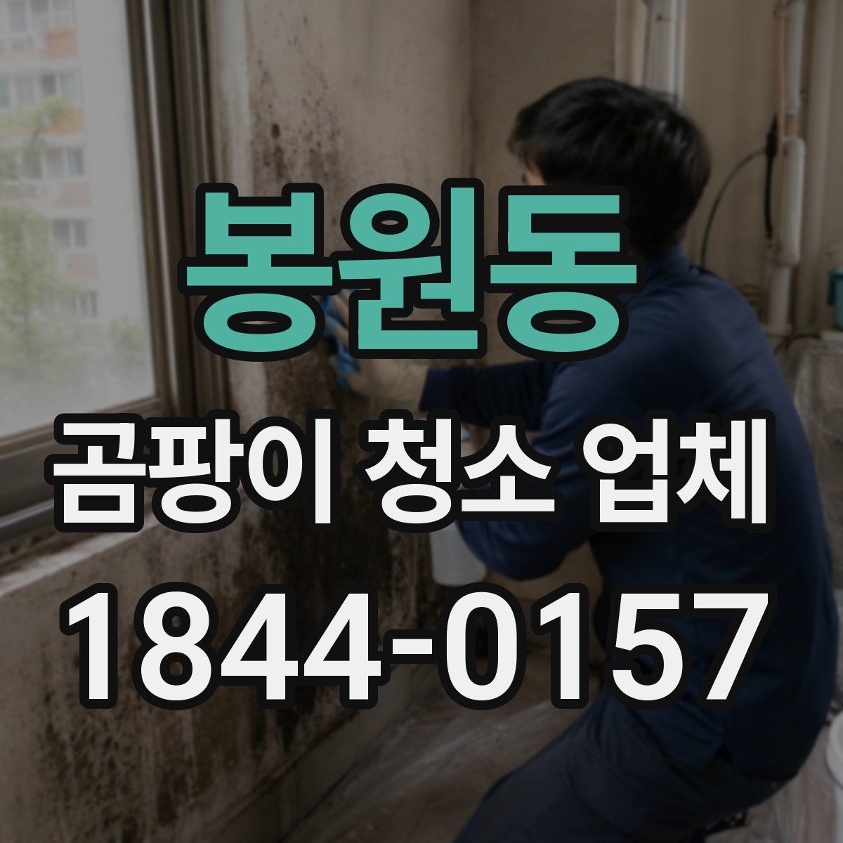 봉원동 곰팡이 청소 업체