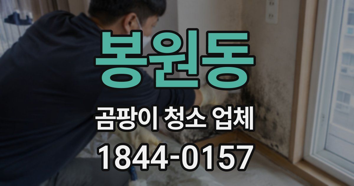봉원동 곰팡이 청소 업체