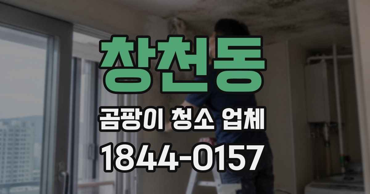 창천동 곰팡이 청소 업체
