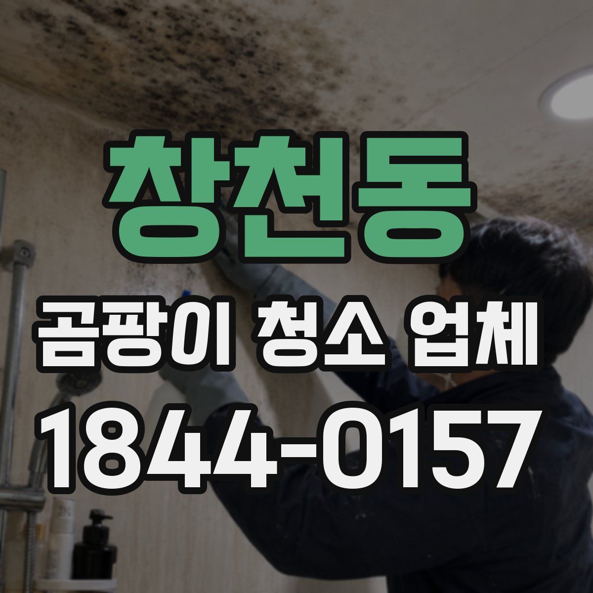 창천동 곰팡이 청소 업체