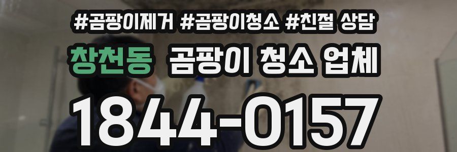 창천동 곰팡이 청소 업체