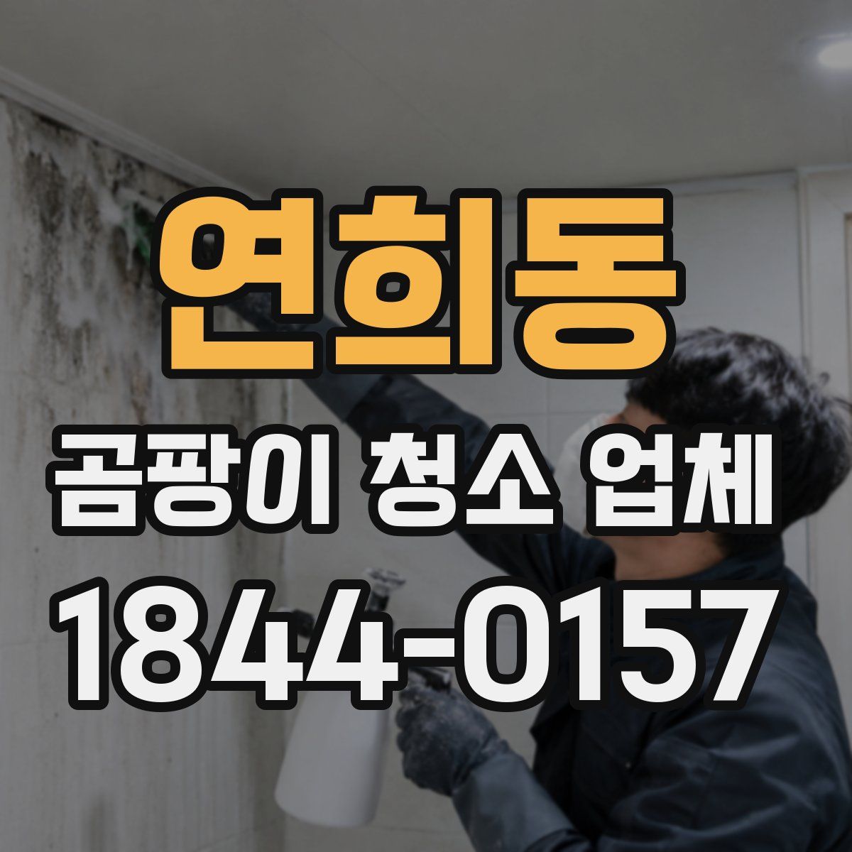 연희동 곰팡이 청소 업체