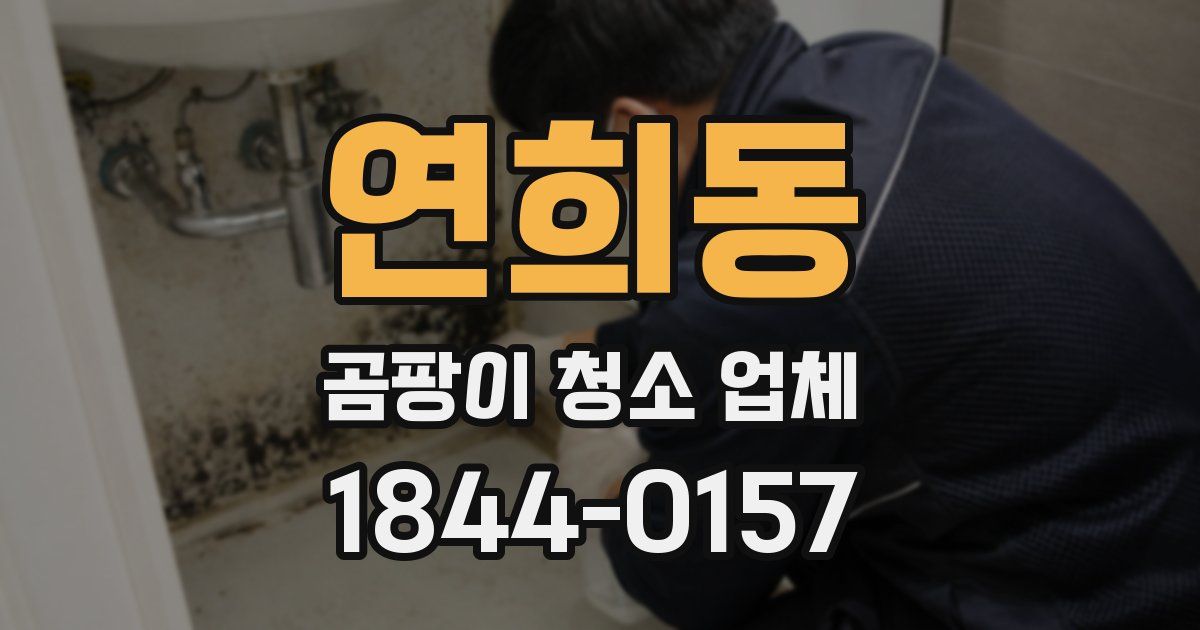 연희동 곰팡이 청소 업체