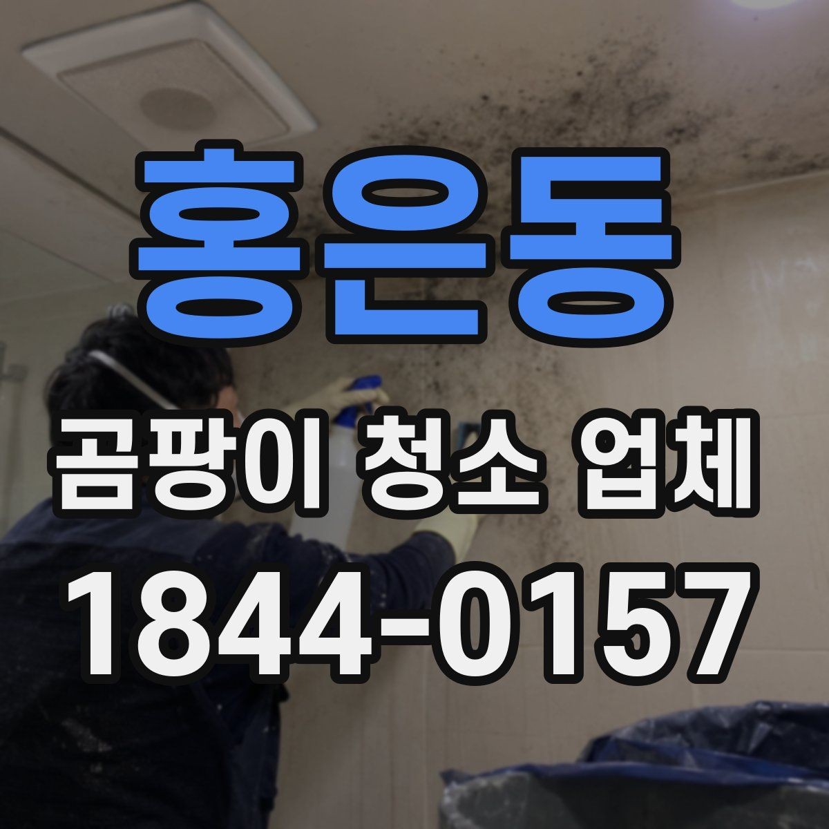홍은동 곰팡이 청소 업체 선택 시 계약 전 확인사항