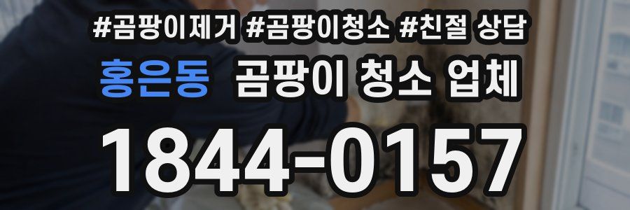 홍은동 곰팡이 청소 업체