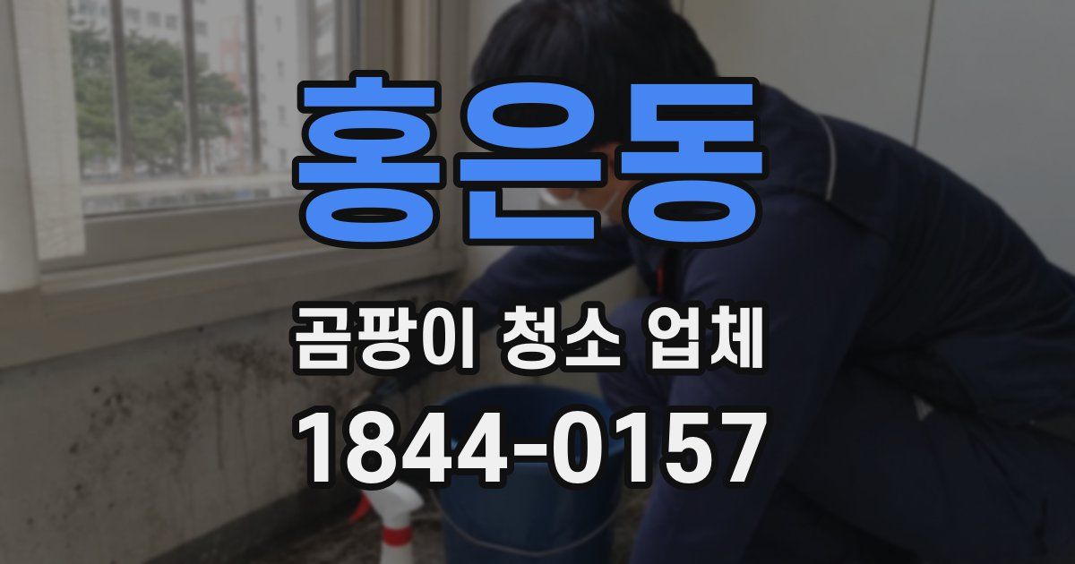 홍은동 곰팡이 청소 업체