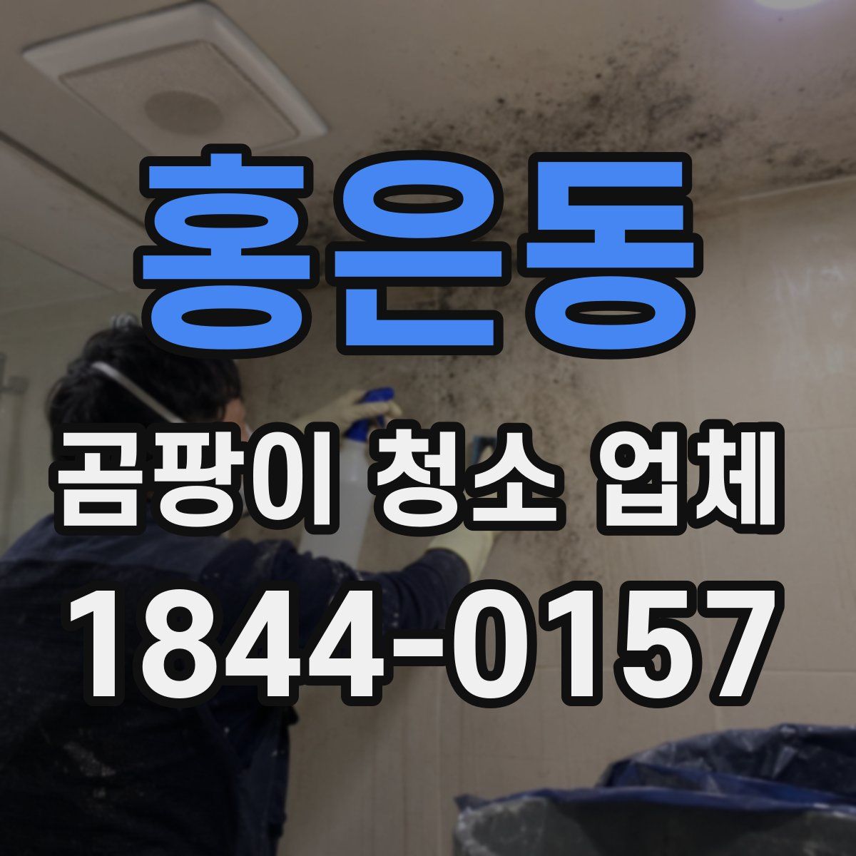 홍은동 곰팡이 청소 업체