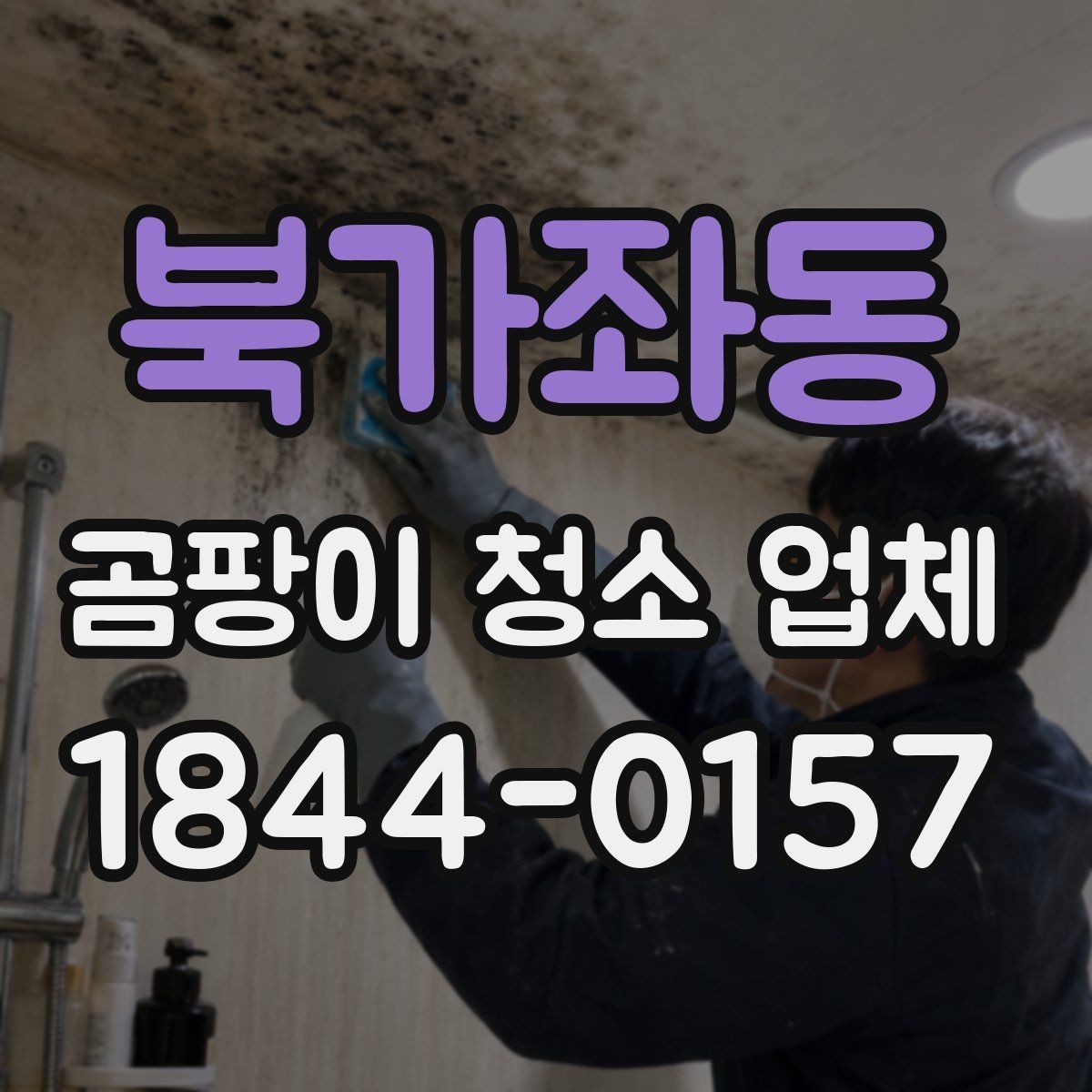 북가좌동 곰팡이 청소 업체 선택에 필요한 최소한의 정보