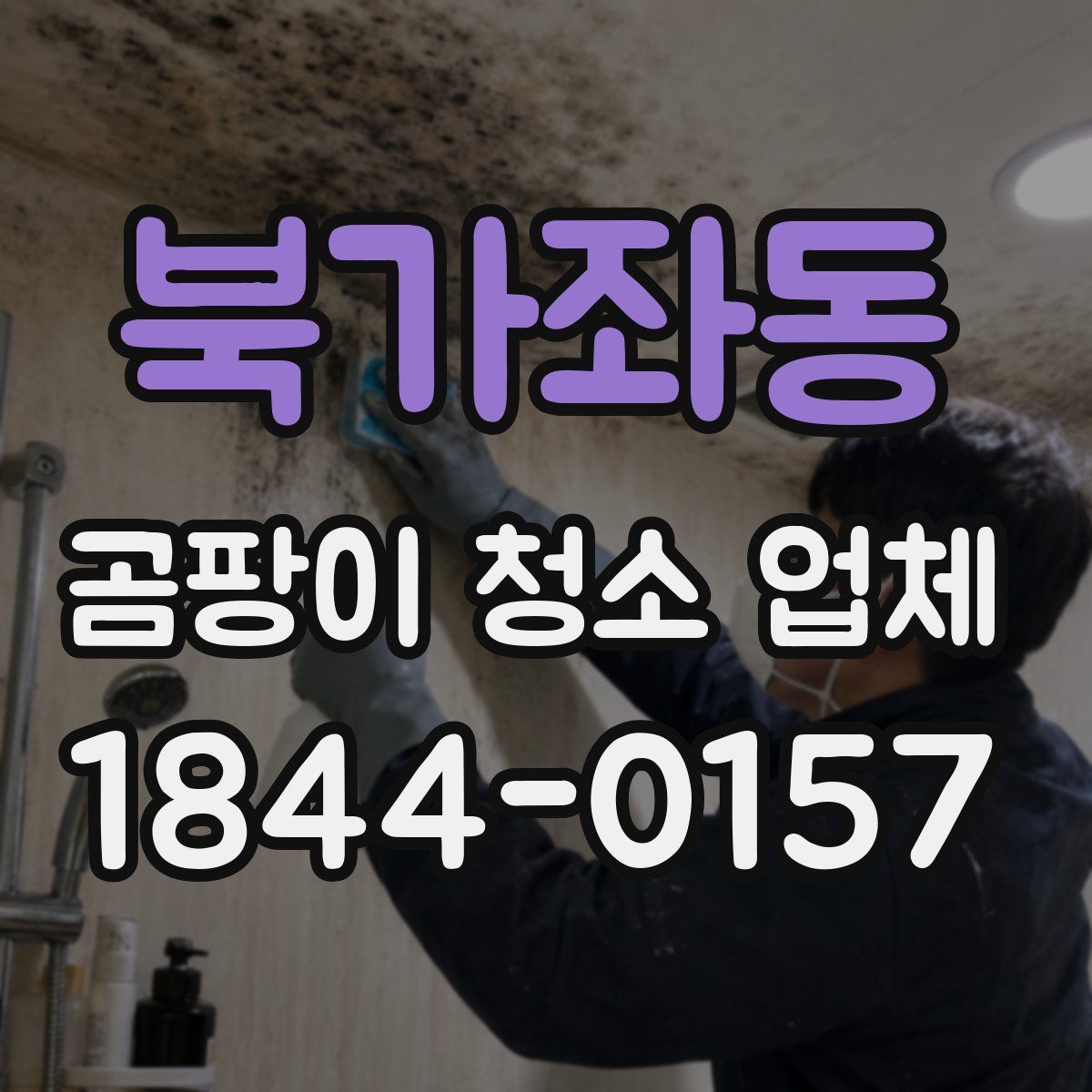 북가좌동 곰팡이 청소 업체