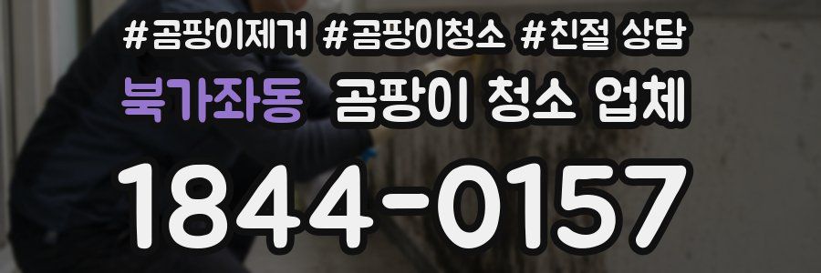 북가좌동 곰팡이 청소 업체