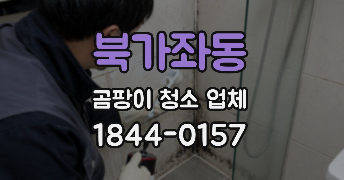 북가좌동 곰팡이 청소 업체