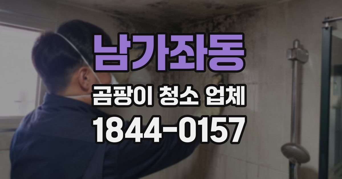 남가좌동 곰팡이 청소 업체