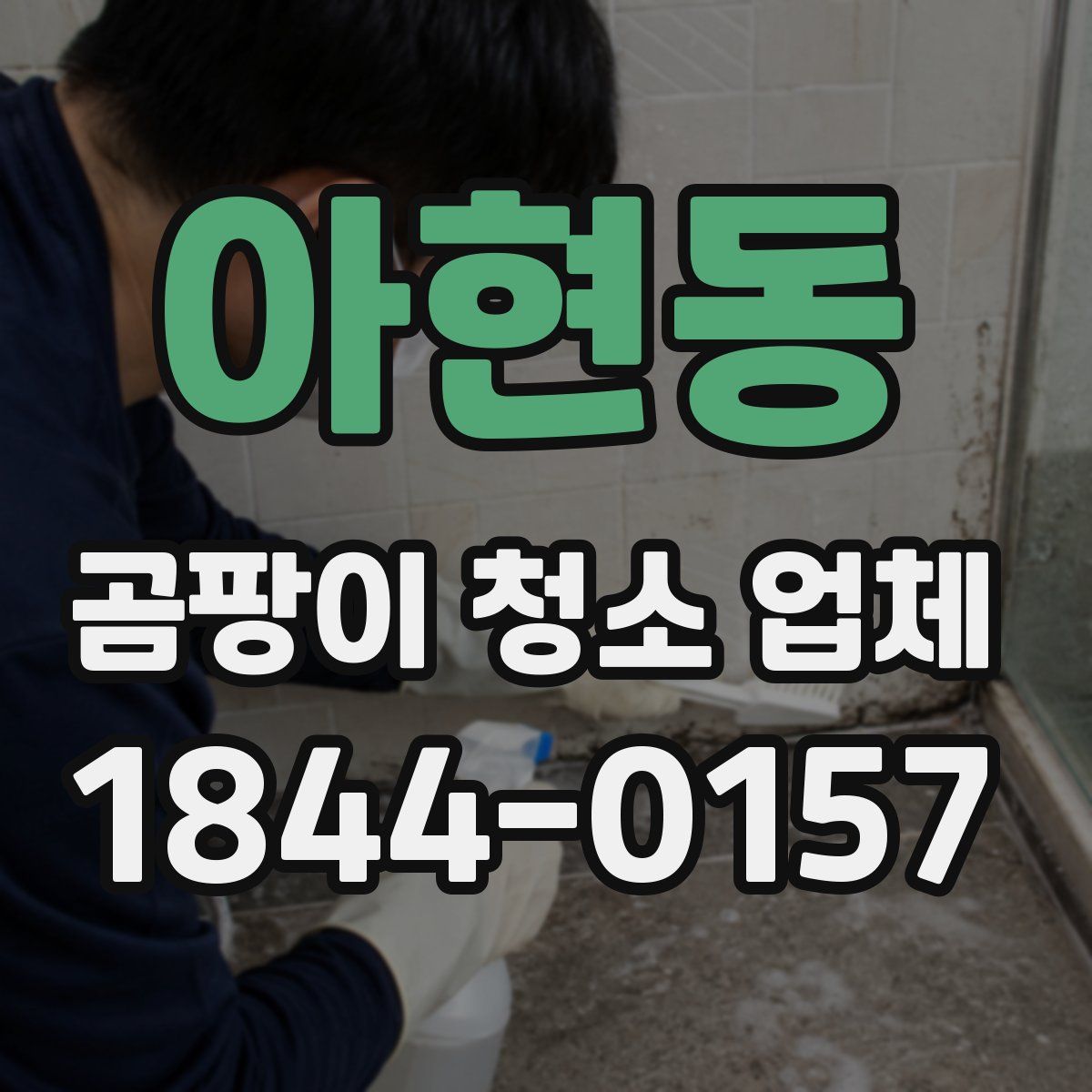 아현동 곰팡이 청소 업체