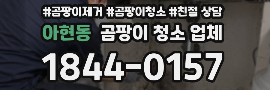 아현동 곰팡이 청소 업체