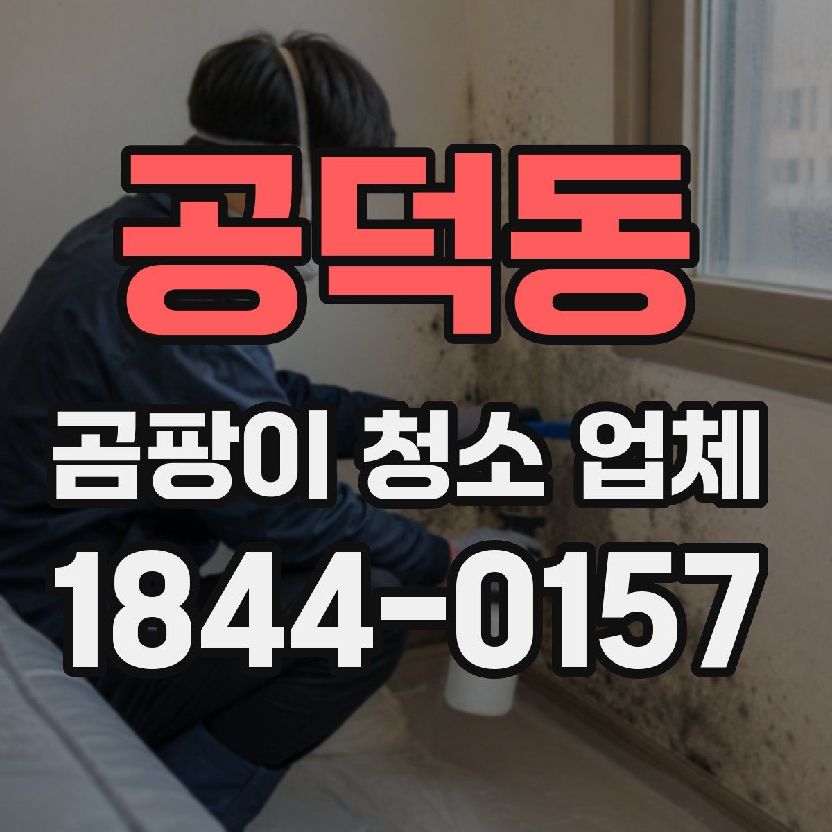 공덕동 곰팡이 청소 업체