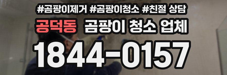 공덕동 곰팡이 청소 업체