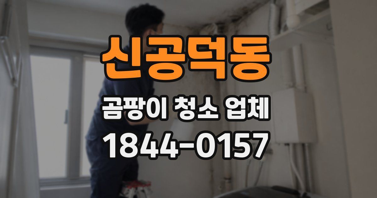 신공덕동 곰팡이 청소 업체