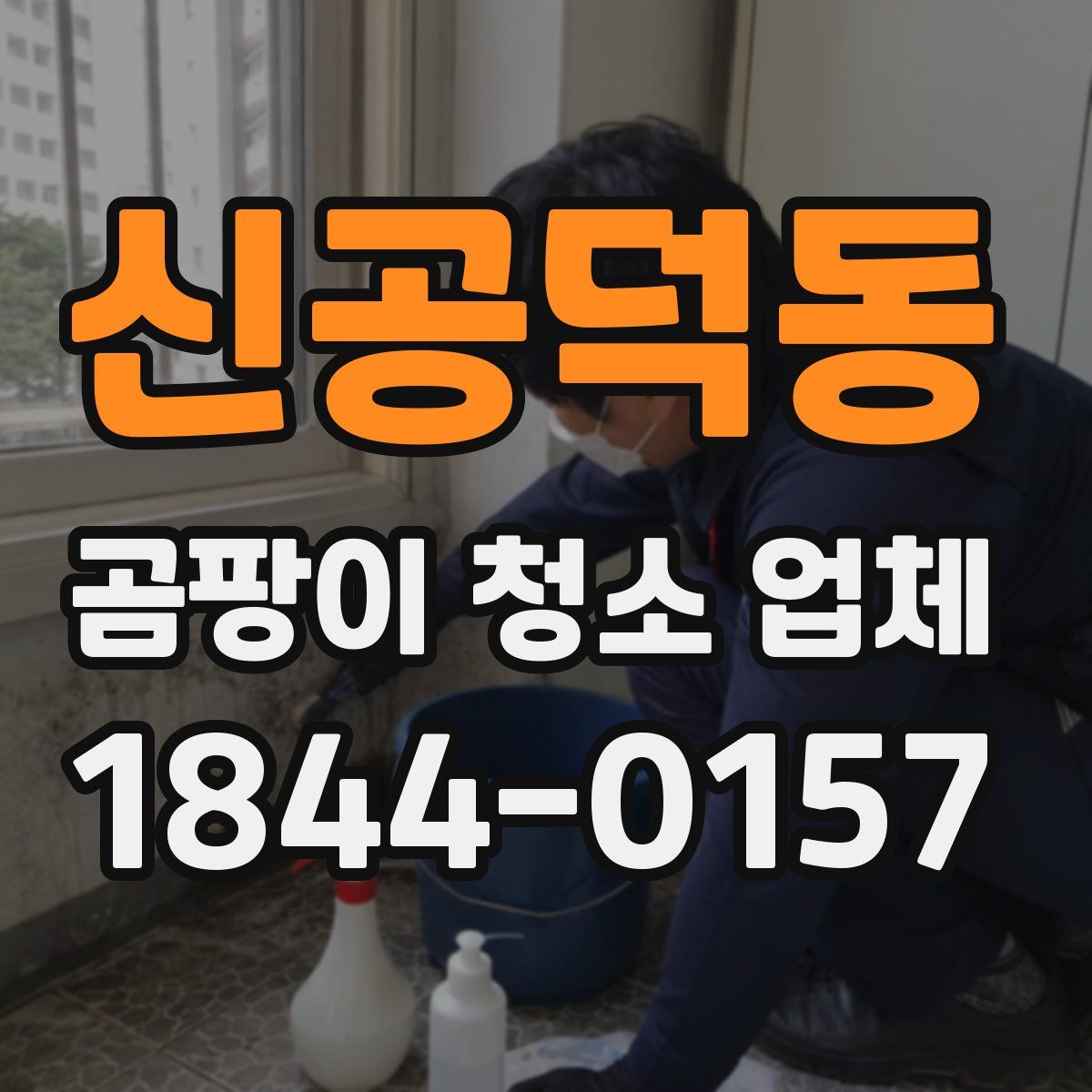 신공덕동 곰팡이 청소 업체