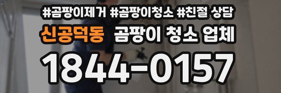 신공덕동 곰팡이 청소 업체
