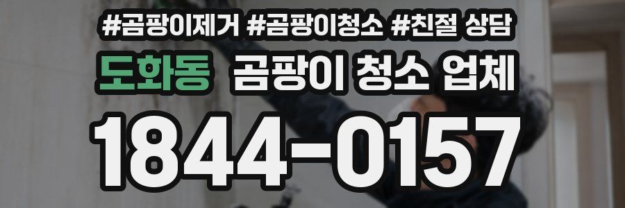 도화동 곰팡이 청소 업체