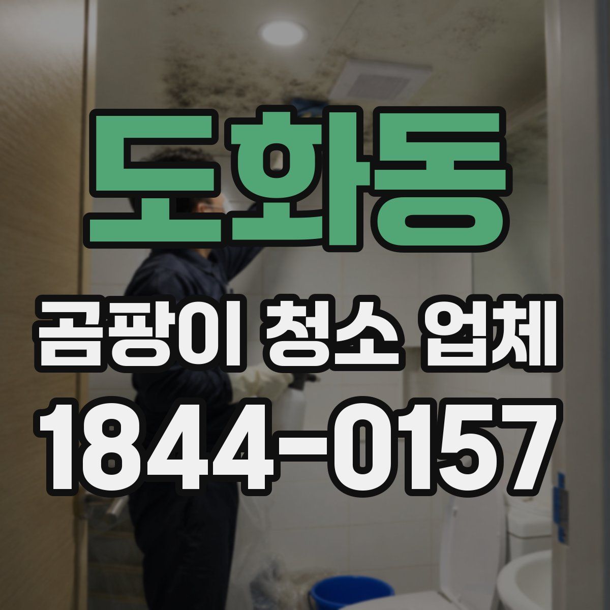 도화동 곰팡이 청소 업체