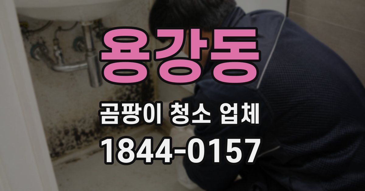 용강동 곰팡이 청소 업체