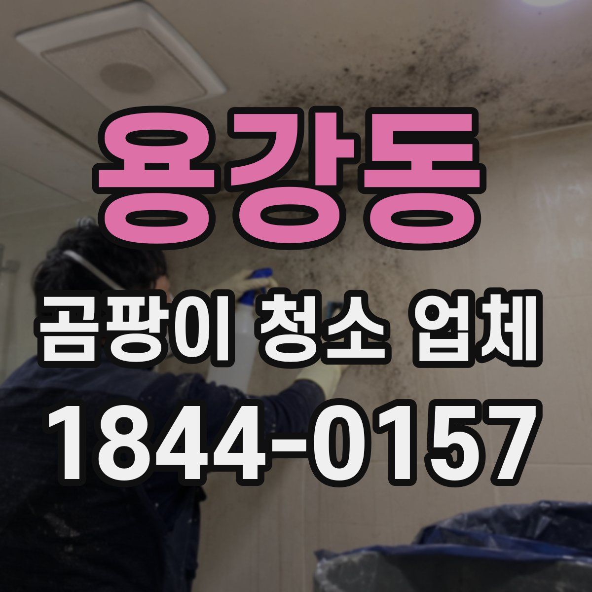 용강동 곰팡이 청소 업체