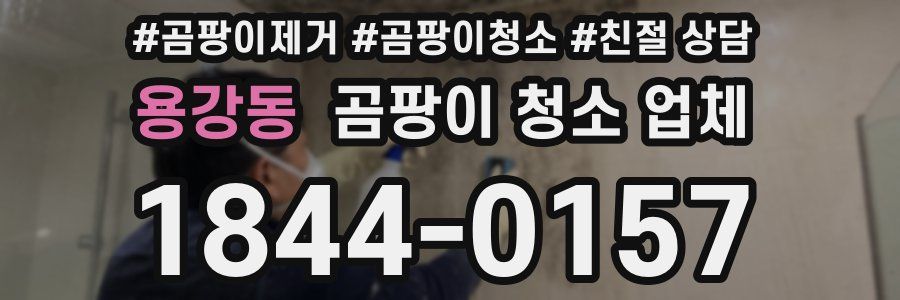 용강동 곰팡이 청소 업체
