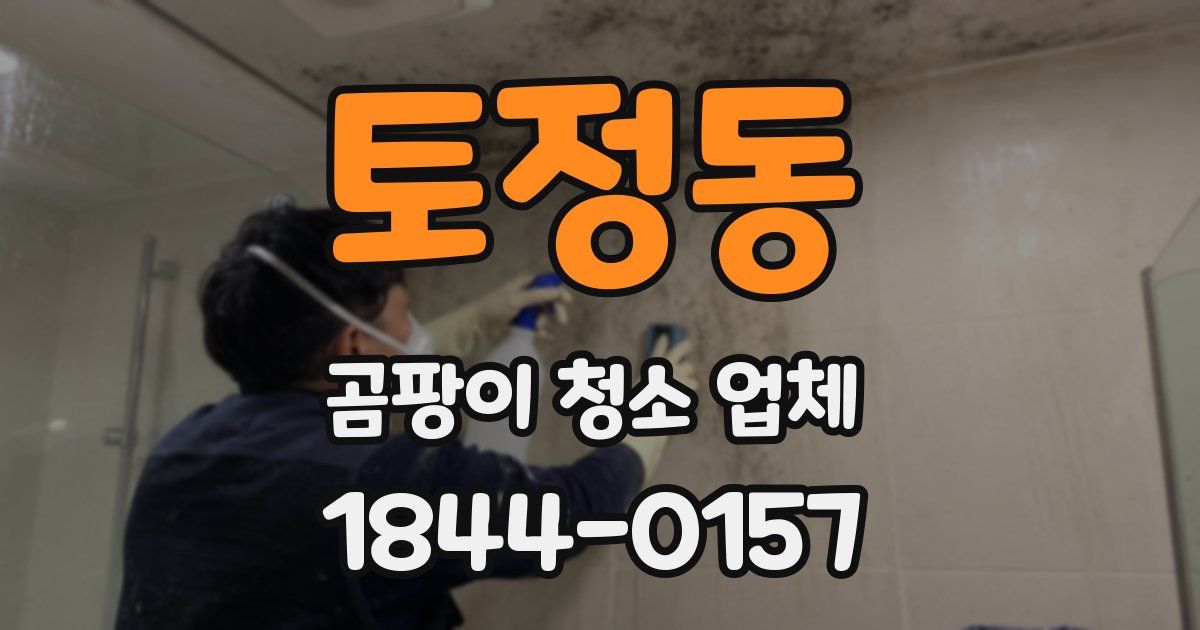 토정동 곰팡이 청소 업체