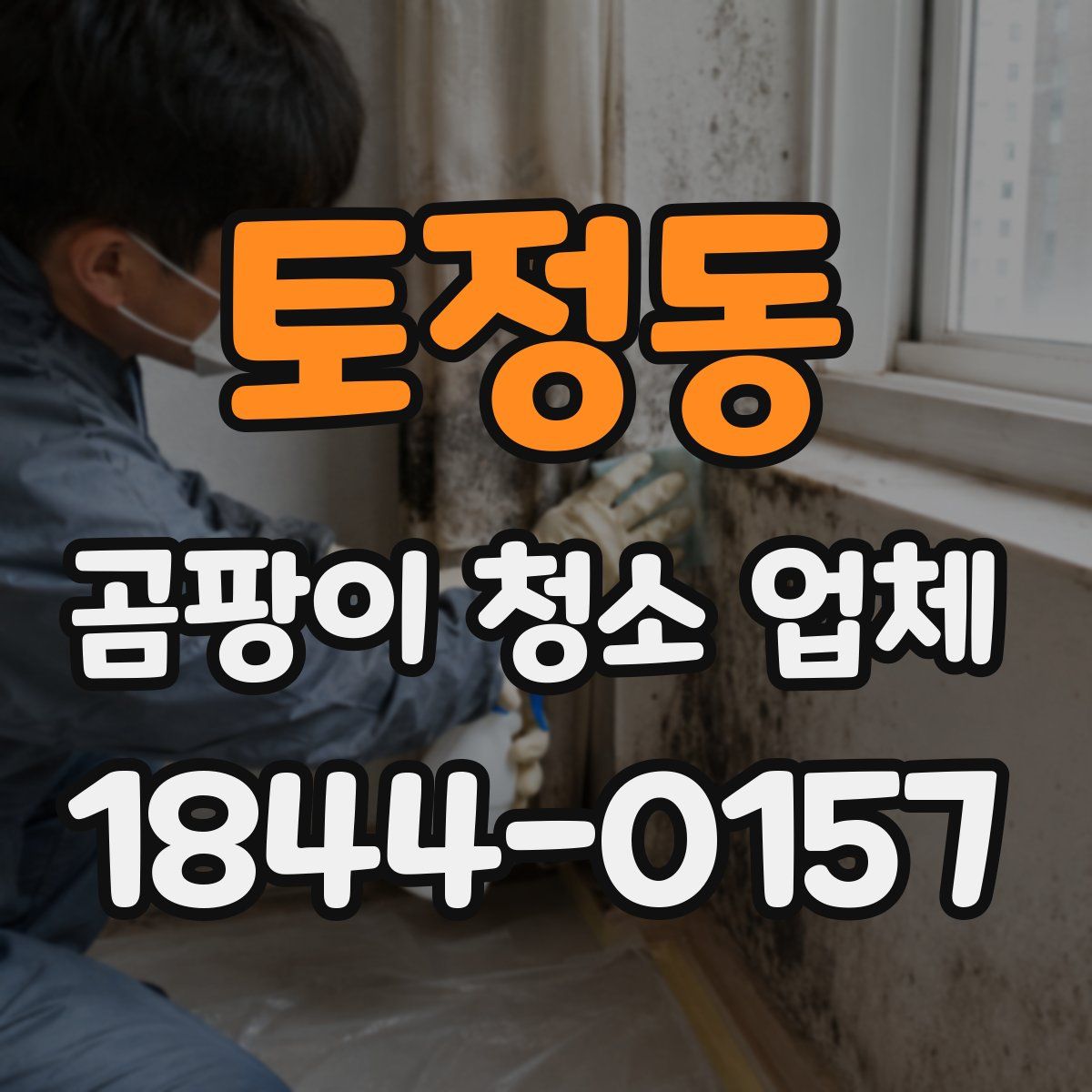 토정동 곰팡이 청소 업체