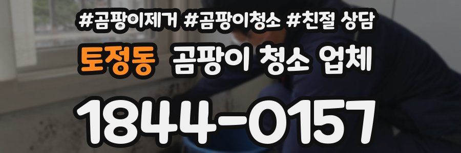 토정동 곰팡이 청소 업체