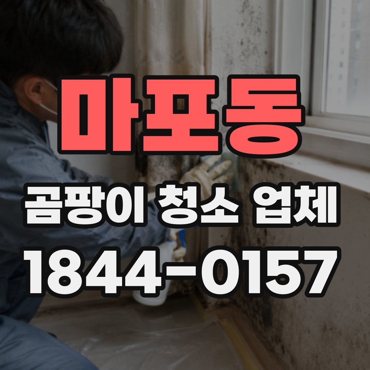 마포동 곰팡이 청소 업체