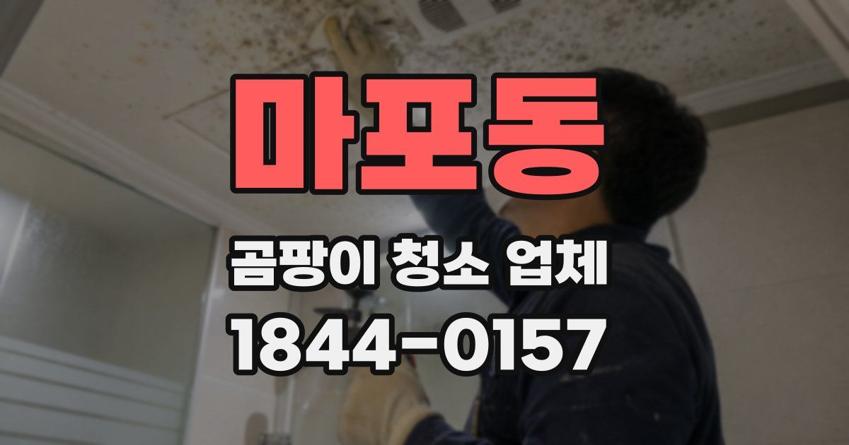 마포동 곰팡이 청소 업체