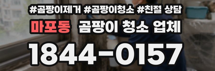 마포동 곰팡이 청소 업체