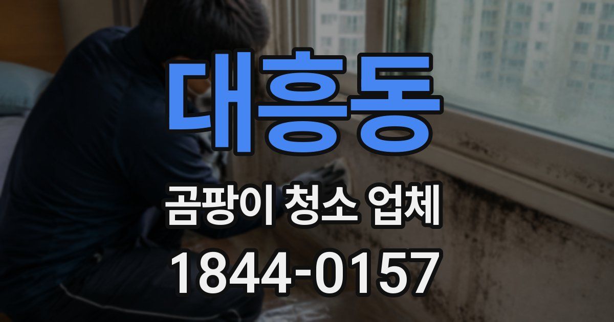 대흥동 곰팡이 청소 업체