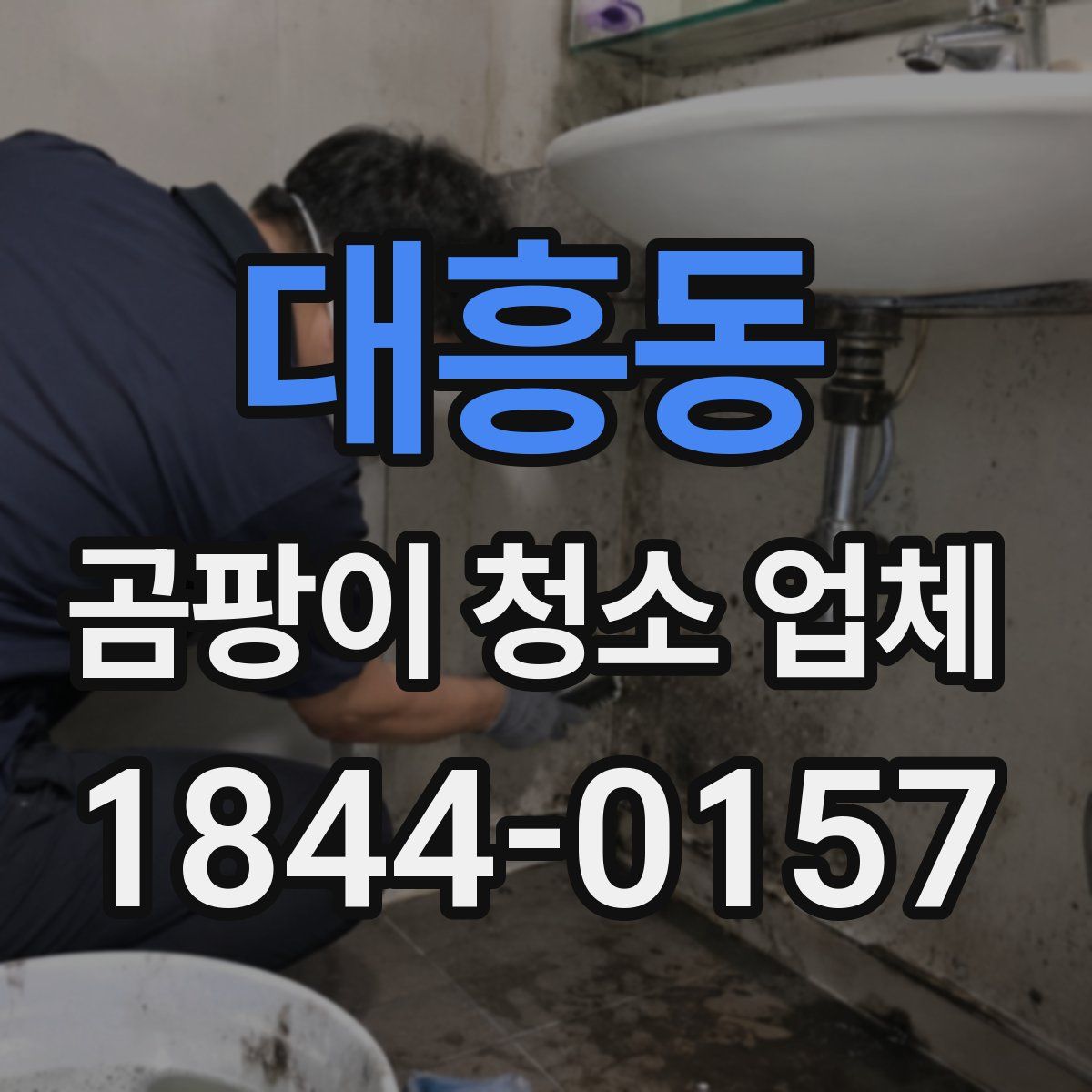 대흥동 곰팡이 청소 업체