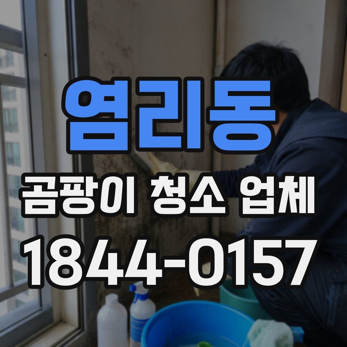 염리동 곰팡이 청소 업체 상담 후 일정 잡는 방법