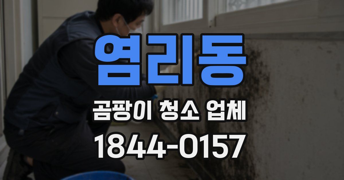 염리동 곰팡이 청소 업체